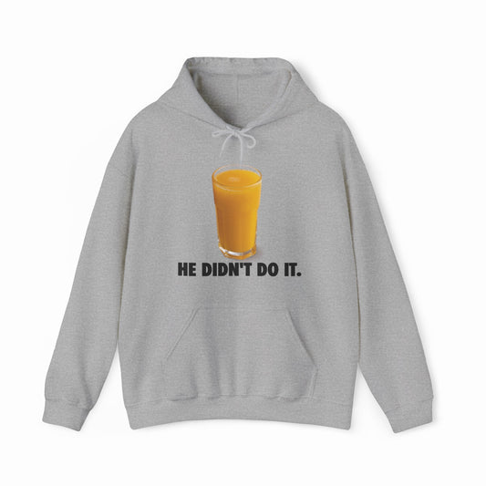 Illicit Shirts He Didn't Do It Hoodie