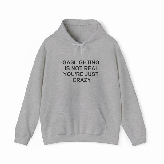 Gaslighting Is Not Real You're Just Crazy Hoodie
