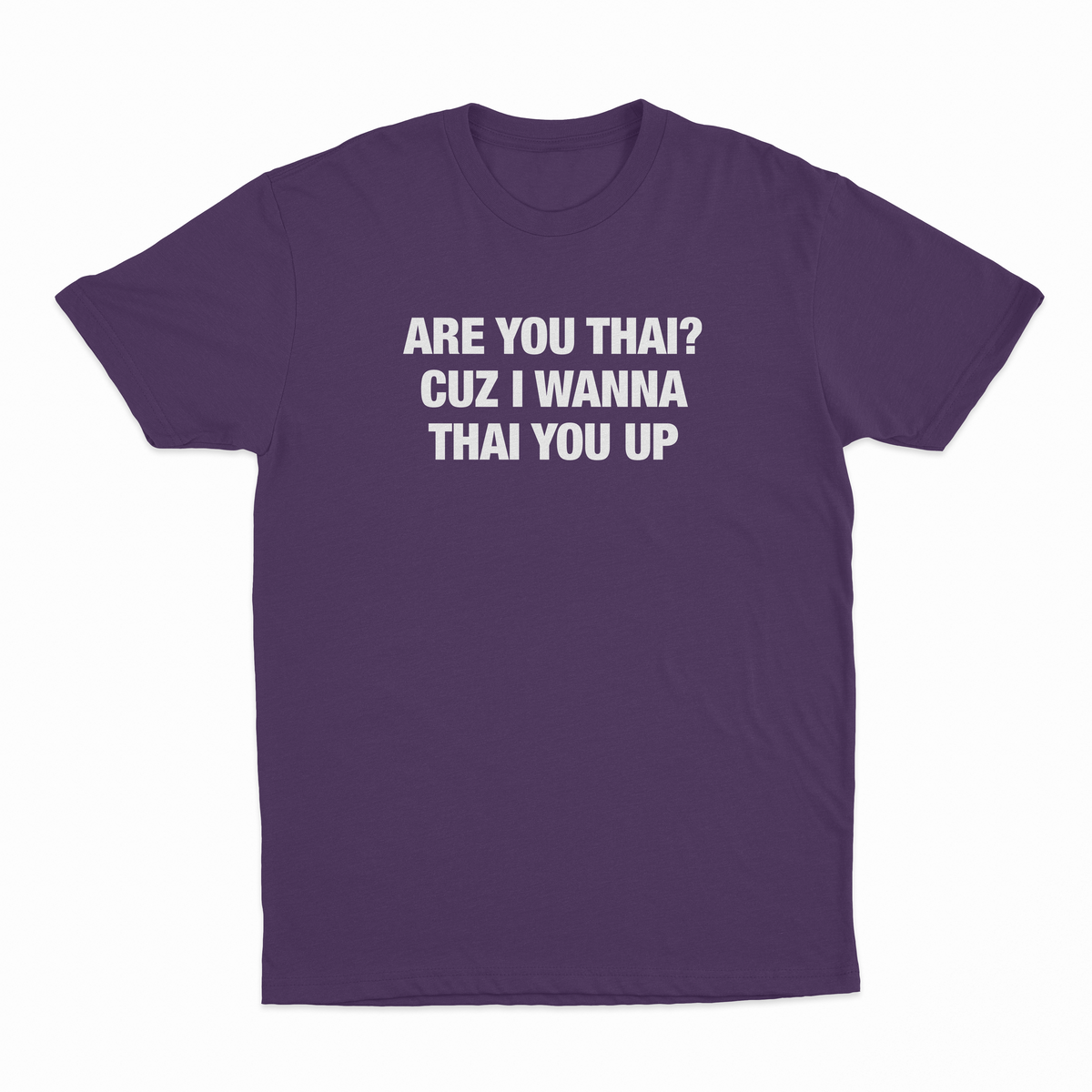 Are You Thai Cuz I'm Wanna Thai You Up Text Only T-Shirt