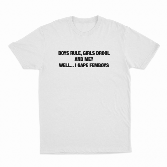Illicit Shirts Boys Rule Girls Drool And Me Well I Gape Femboys T-Shirt