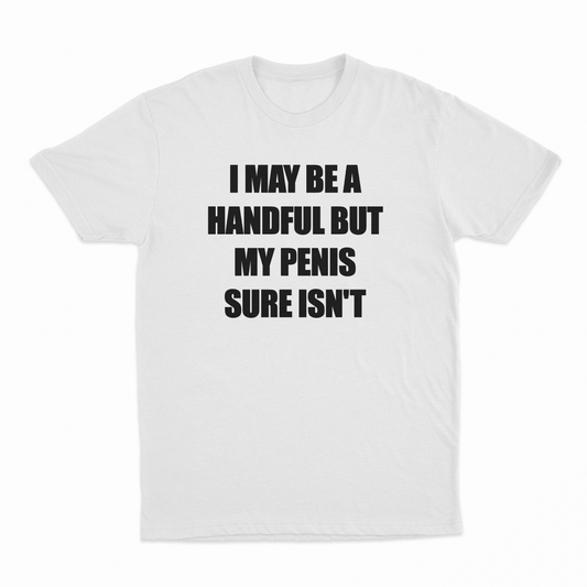 Illicit Shirts I May Be A Handful But My Penis Sure Isn't T-Shirt