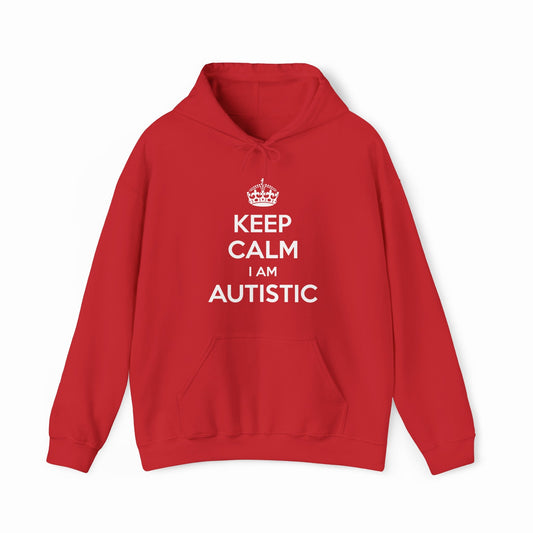 Illicit Shirts Keep Calm I Am Autistic Hoodie