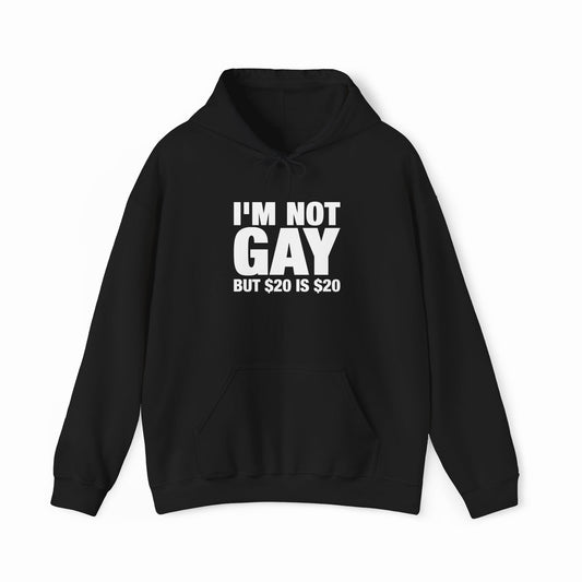 Illicit Shirts I'm Not Gay But $20 Is $20 Hoodie