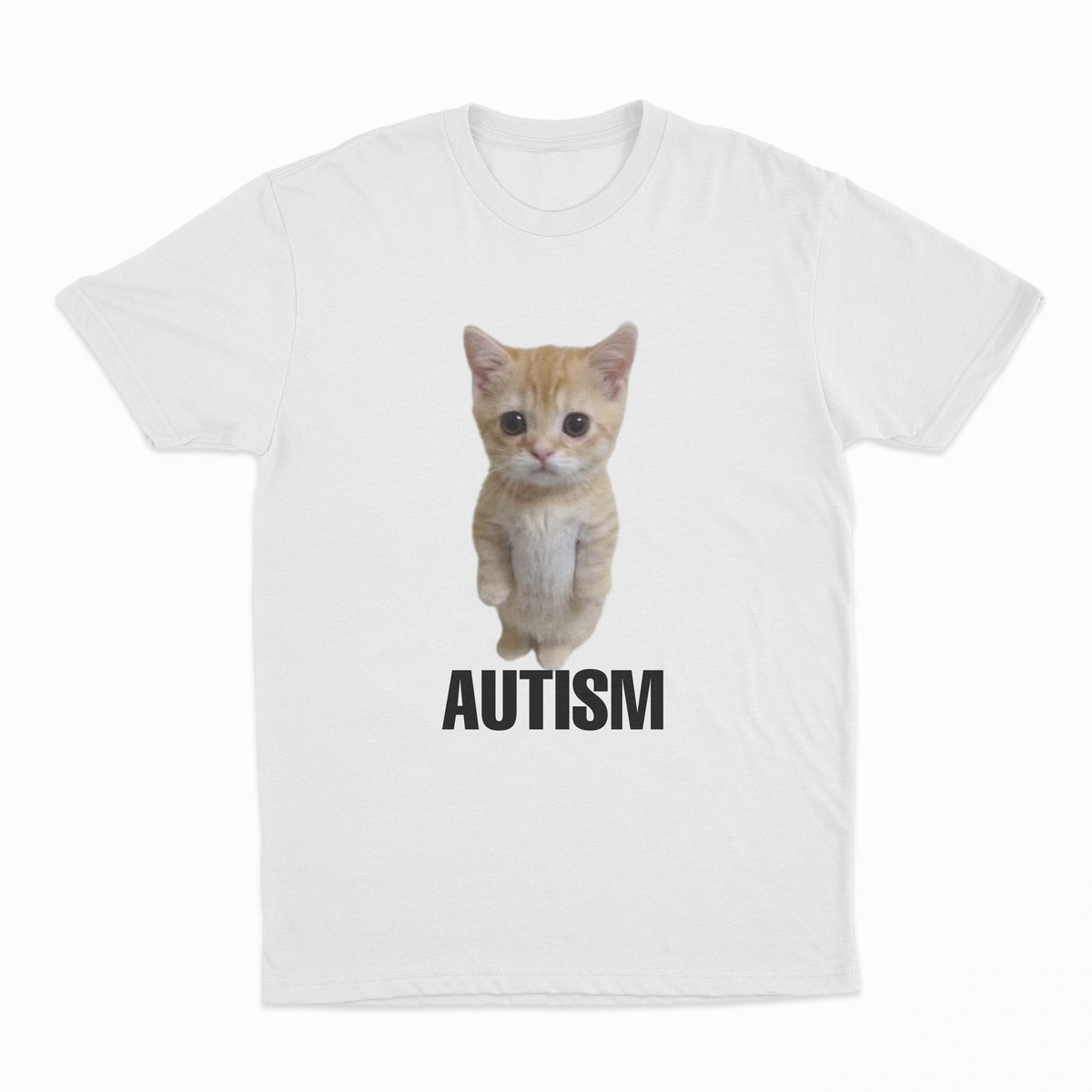 Autism Cat T-Shirt