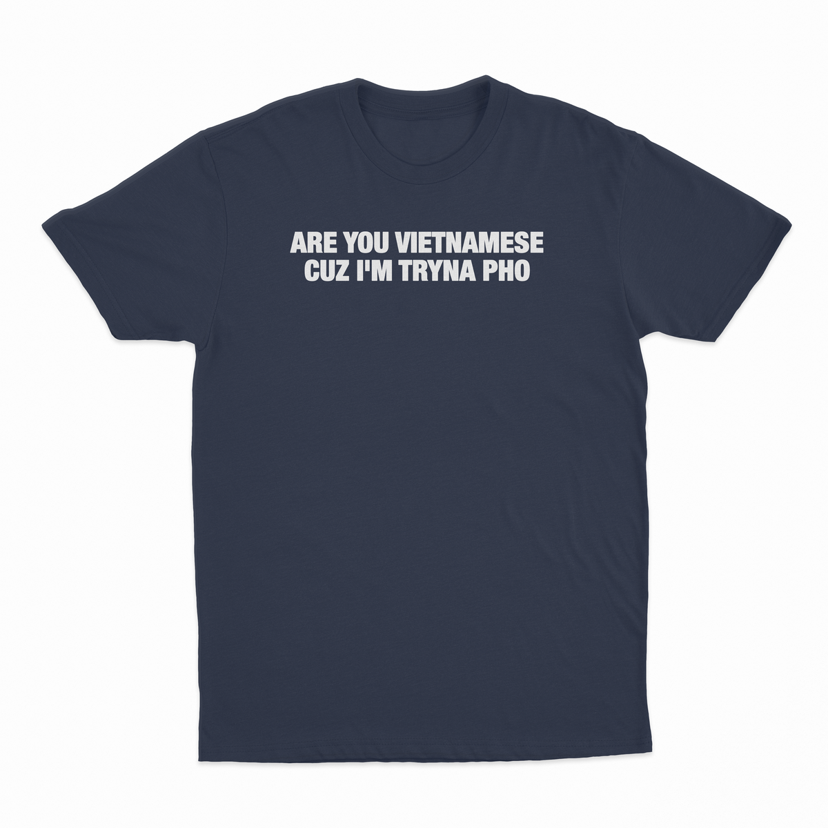 Are You Vietnamese Cuz I'm Tryna Pho T-Shirt