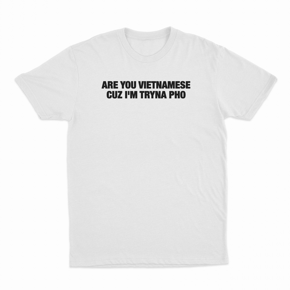 Are You Vietnamese Cuz I'm Tryna Pho T-Shirt