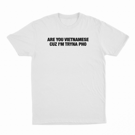 Are You Vietnamese Cuz I'm Tryna Pho T-Shirt