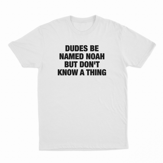 Illicit Shirts Dudes Be Named Noah But Don't Know A Thing T-Shirt
