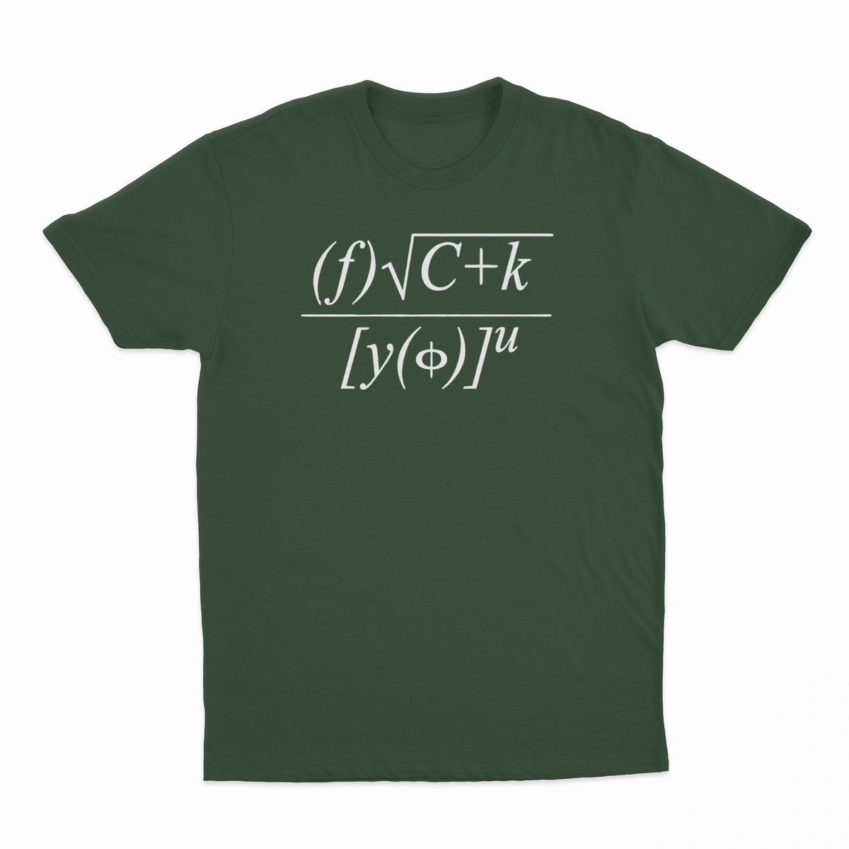 Fuck You Math Equation T-Shirt