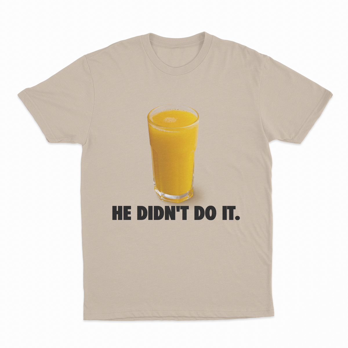 He Didn't Do It T-Shirt