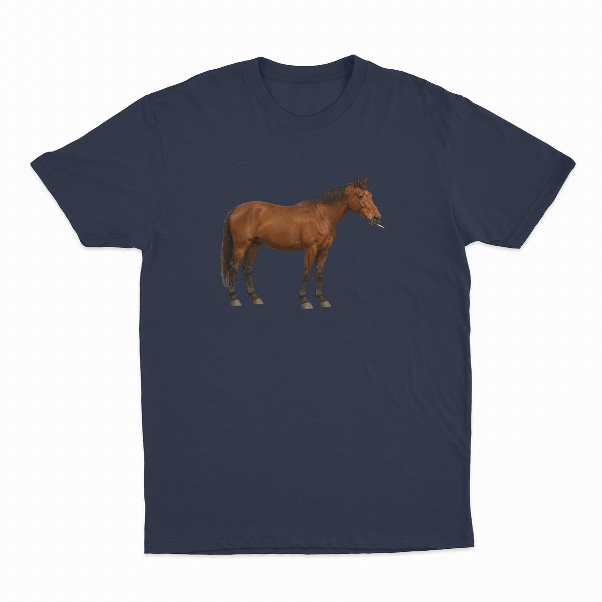 Horse Smoking Cigarette T-Shirt