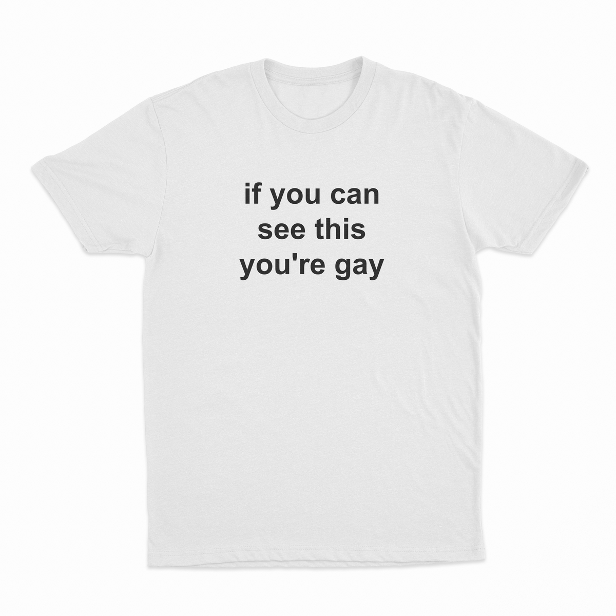 If You Can See This You're Gay T-Shirt