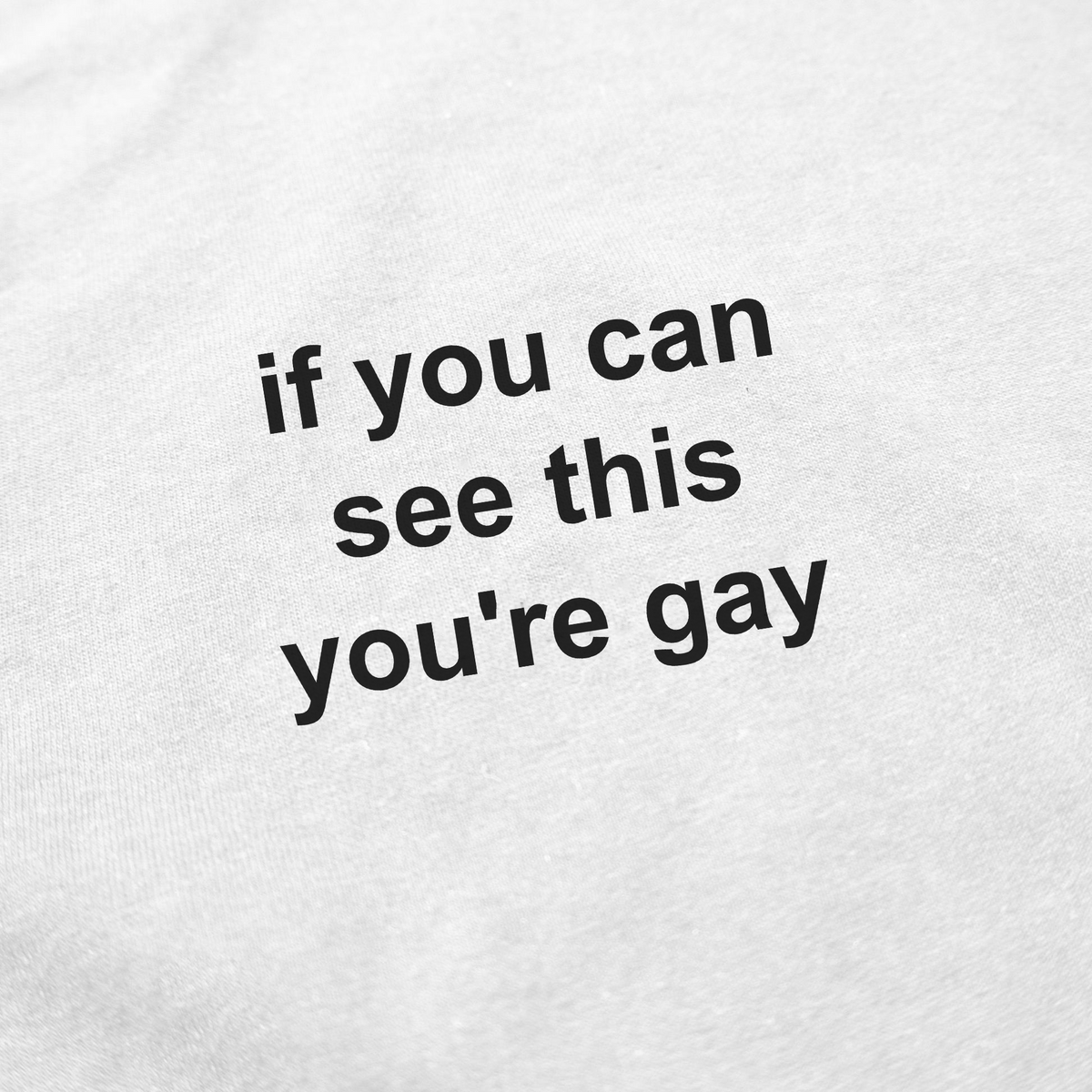 If You Can See This You're Gay T-Shirt