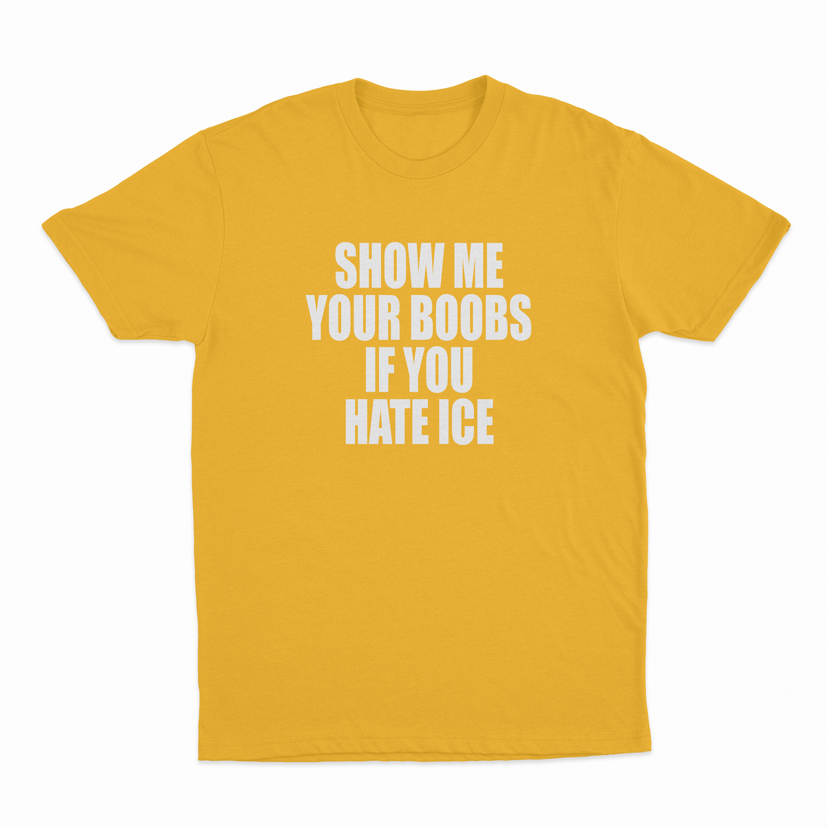 Show Me Your Boobs If You Hate Ice T-Shirt