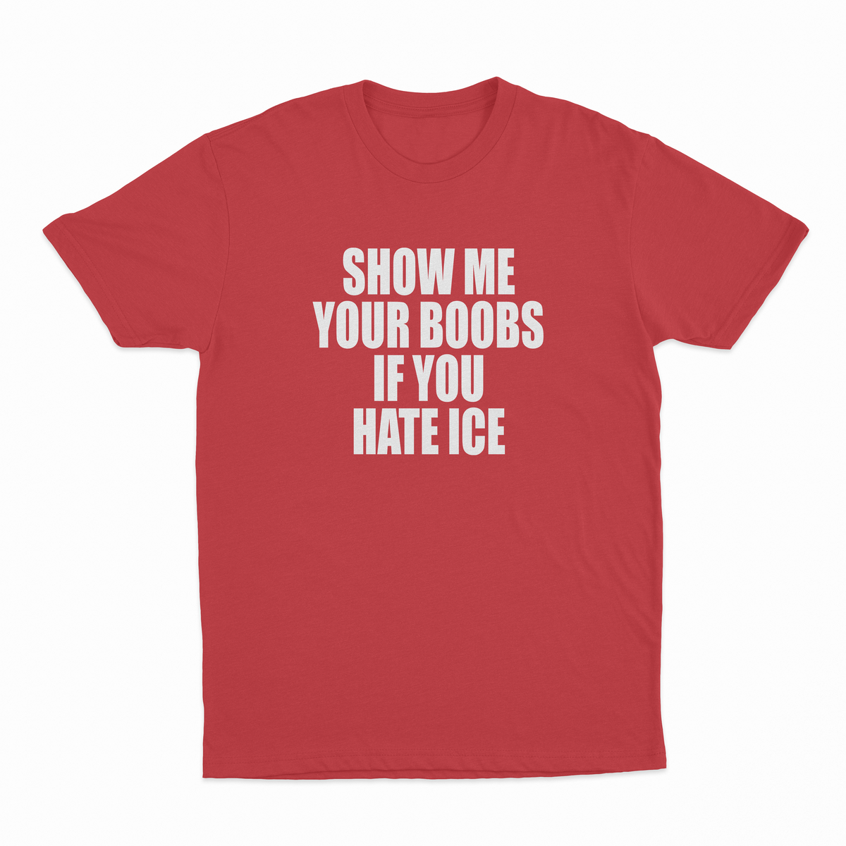 Show Me Your Boobs If You Hate Ice T-Shirt