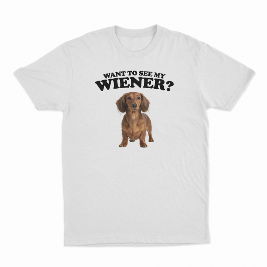 Illicit Shirts Want To See My Wiener T-Shirt